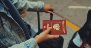 Passeport tenu en main : le certificat de vie des retraités à l'étranger