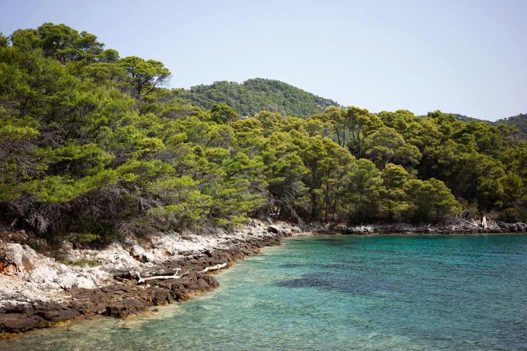 Côte rocheuse et pinède au bord d'une eau turquoise, paysage qui explique la fréquentation de Porquerolles