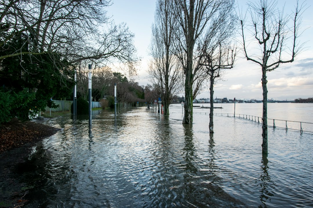 Berges d'un fleuve en crue
