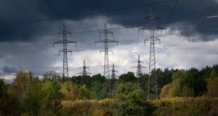 Lignes électriques en forêt : indemnisation coupure de courant