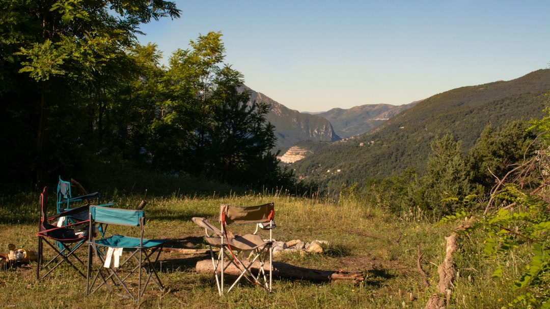 Arbres et ombre recherchés pendant la saison touristique 2026
