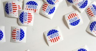 Bulletins de vote, procuration de vote en ligne