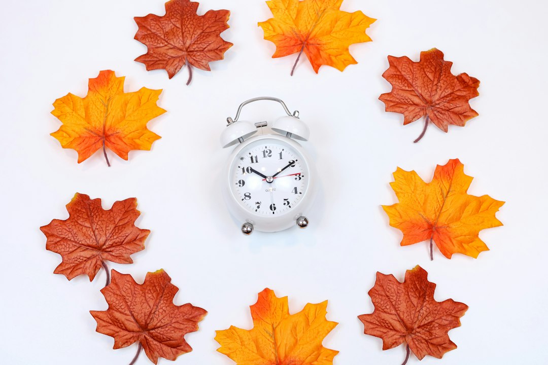 Réveil et feuilles d'automne : heure d'hiver 2026