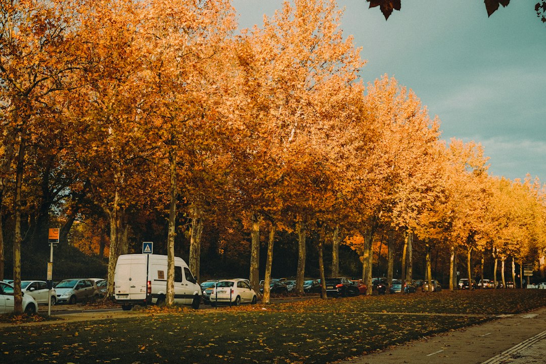Route de campagne en automne pendant les retours de la Toussaint