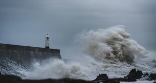 Vagues sur un phare par gros temps, illustration tempête Austen