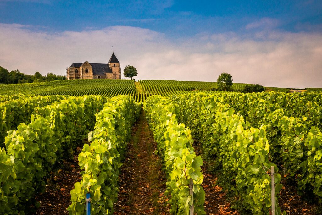 Église médiévale et rangs de vigne en Champagne, tourisme dans l'Aube