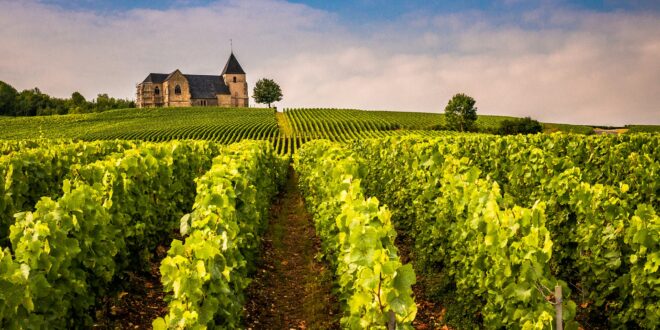 Église médiévale et rangs de vigne en Champagne, tourisme dans l'Aube