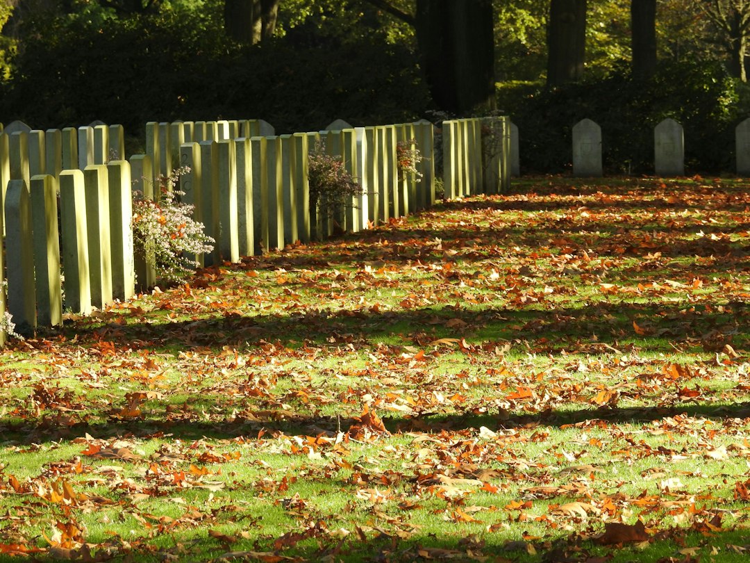 Allée de cimetière couverte de feuilles mortes avant la Toussaint 2026