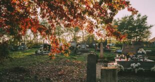 Cimetière au coucher du soleil en automne, à l'approche de la Toussaint 2026