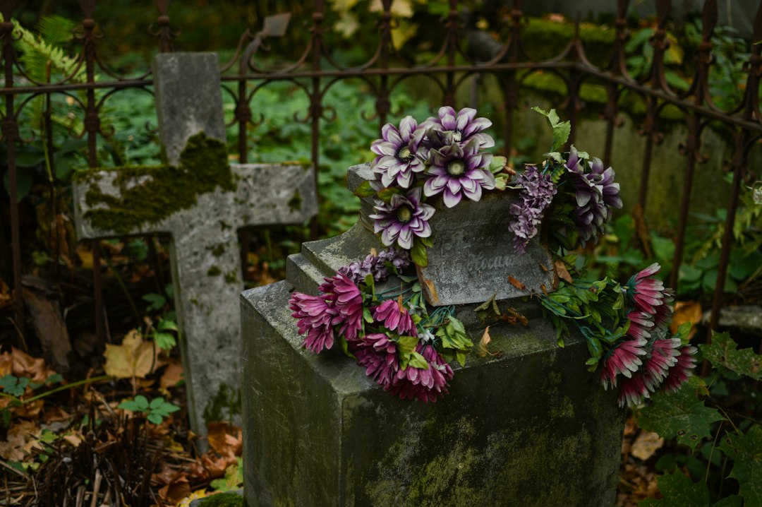 Fleurs en pot déposées pour la Toussaint