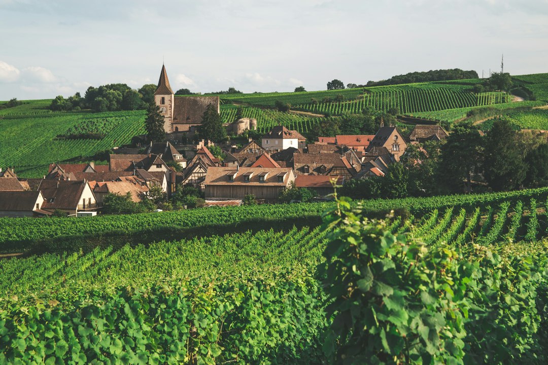 Petit village entouré de champs verdoyants