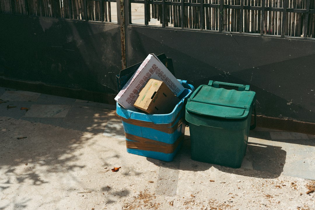 Bacs bleu et vert remplis de déchets à trier