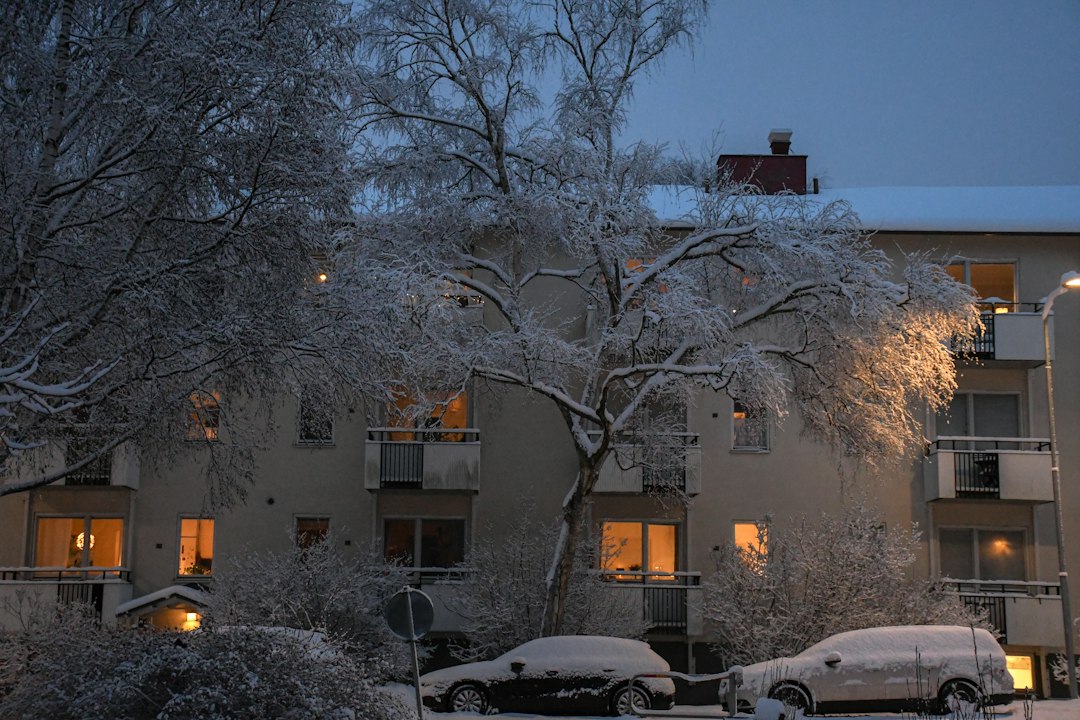 Rue en hiver