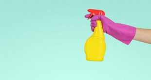 Crédit d'impôt emploi à domicile : vaporisateur de ménage tenu en main