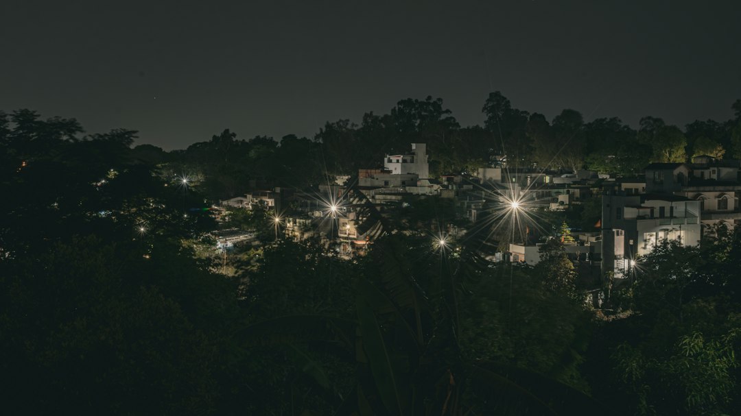 Lumières d'un village la nuit au milieu des arbres