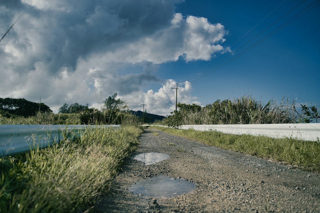 Chemin détrempé après de fortes pluies, image d'illustration