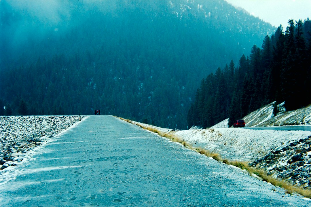 Route traversant une forêt enneigée en montagne