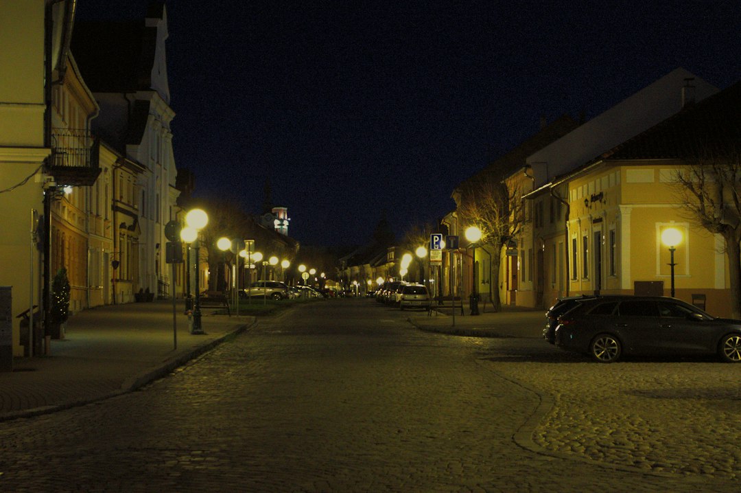 Rue commerçante bordée de lampadaires, commerces touchés et chômage partiel sinistre