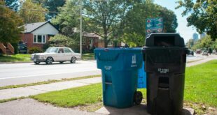 Taxe déchets incitative : bacs à ordures sur le trottoir d'une rue résidentielle