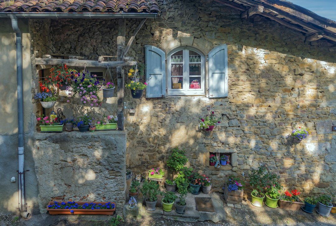 Maison de pierre fleurie, idée de location au printemps
