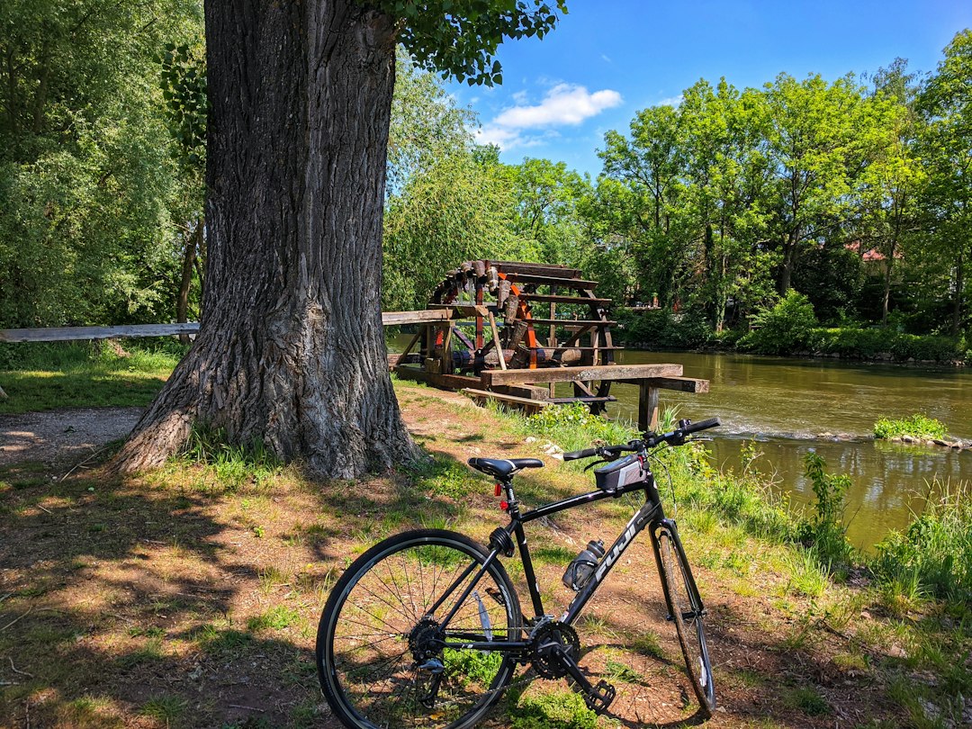 Vélo garé près d'un arbre au bord de l'eau